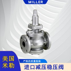 進口減壓穩壓閥