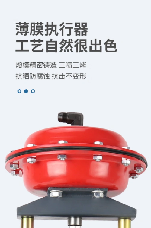進口自力式調節閥安裝圖