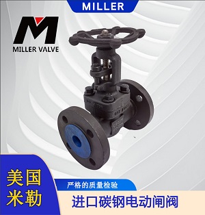進口碳鋼電動閘閥
