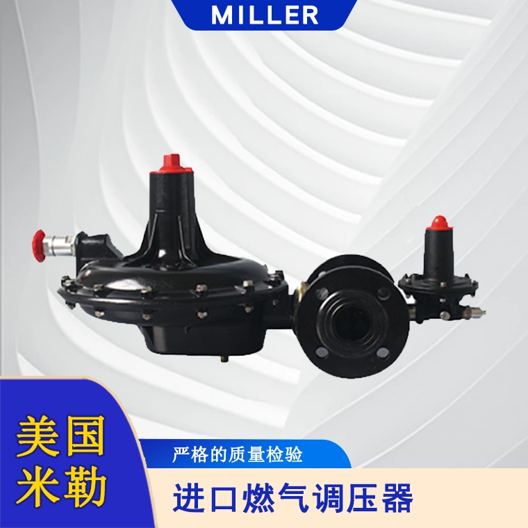 進口燃氣調壓器